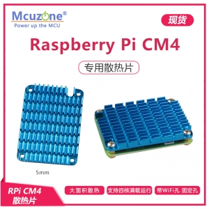 树莓派Computer Module CM4 散热片 Cooler带WiFi孔 支持四核满载 5mm