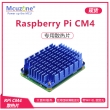 树莓派Computer Module CM4 散热片 Cooler带WiFi孔 支持四核满载 11mm