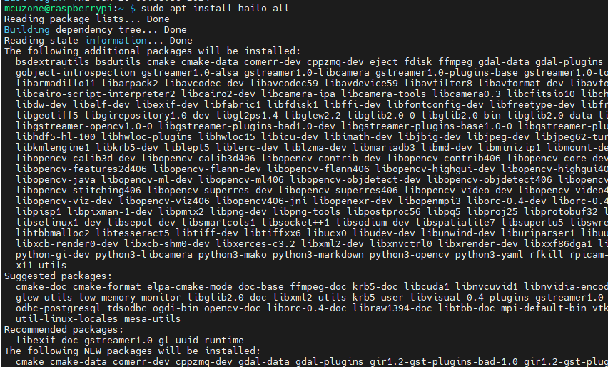 sudo apt install hailo-all.png
