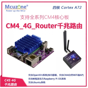 CM4 4G千兆路由 C4S 4G CAT4 LTE 千兆网 R4S R2S openwrt树莓派