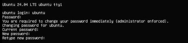 0007_Zero_4G_Cat1_31.jpg